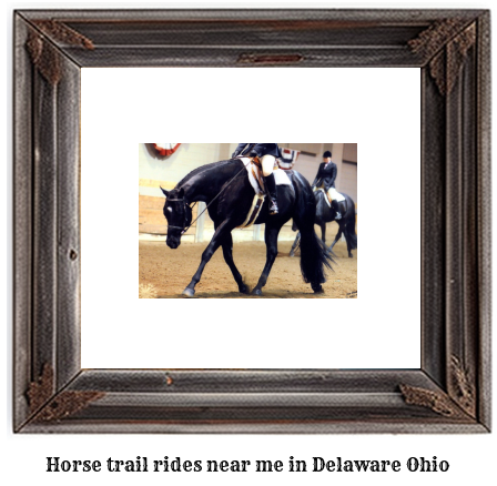 horse trail rides near me in Delaware, Ohio